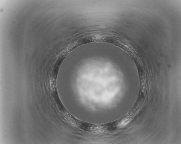 X0000060770419200511141302