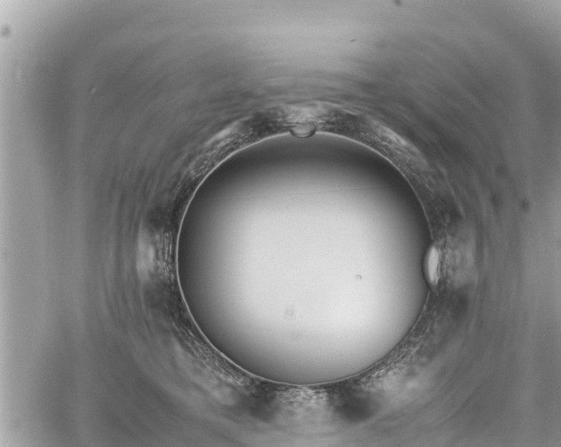 X0000060770421200511141302