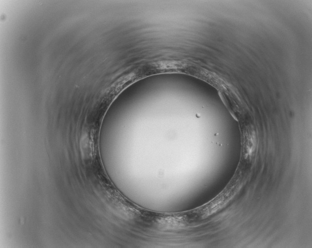 X0000060770422200511141302