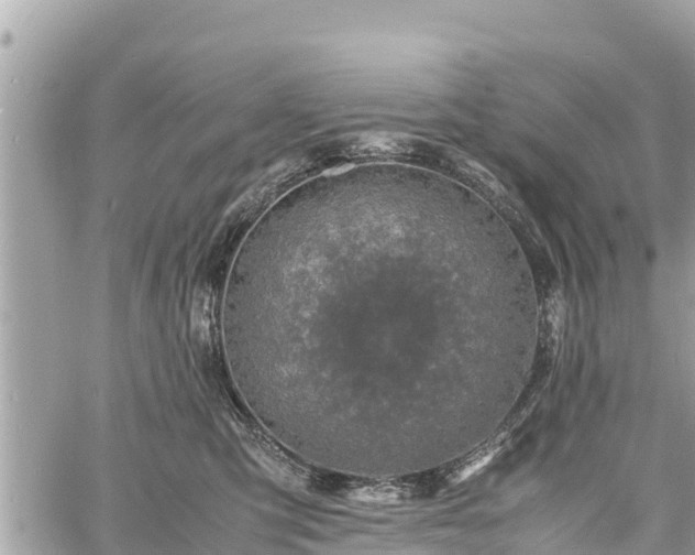 X0000060770423200511141302