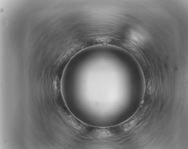 X0000060770424200511141302