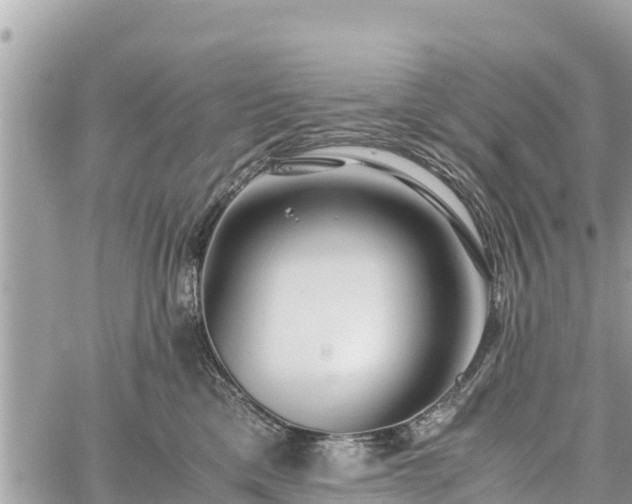 X0000060770425200511141302