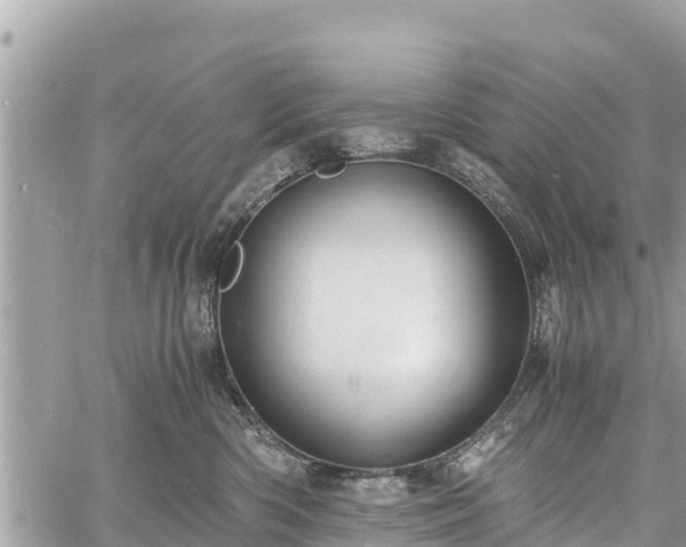 X0000060770426200511141302