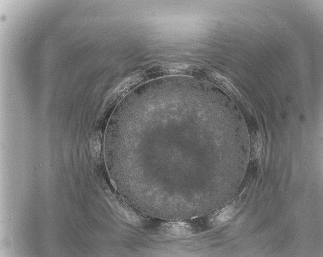 X0000060770427200511141302