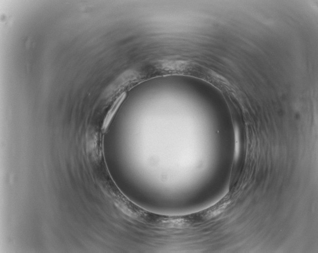 X0000060770428200511141302