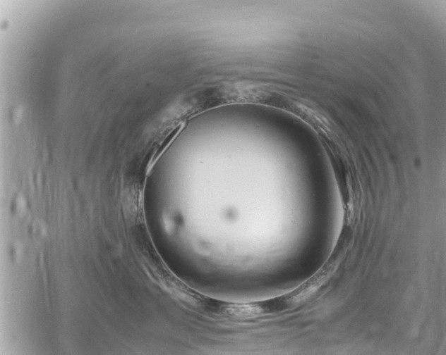 X0000060770429200511141302