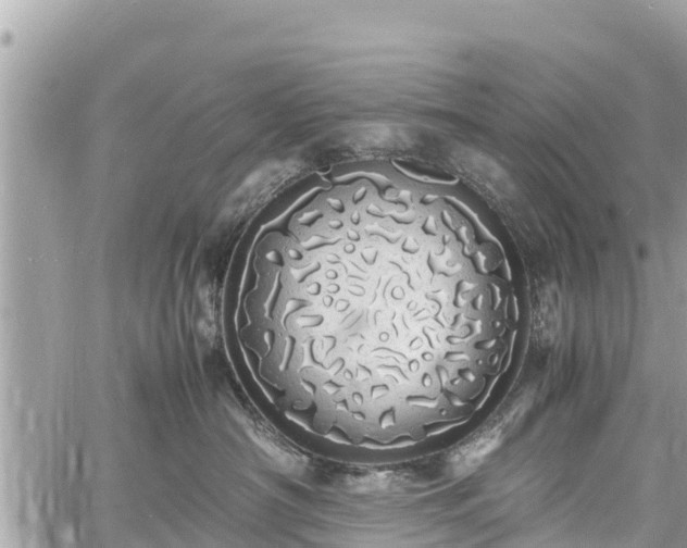 X0000060770430200511141302