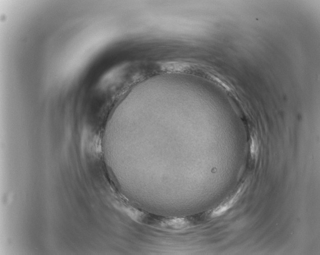 X0000060770431200511141302