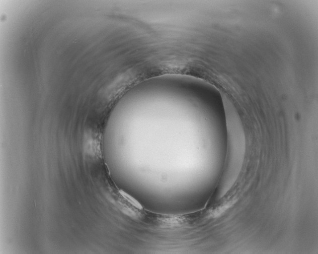 X0000060770432200511141302