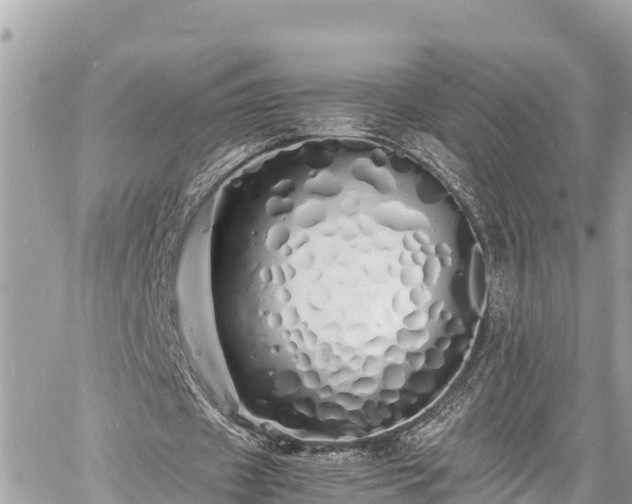 X0000060770433200511141301