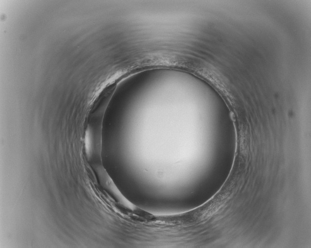 X0000060770434200511141301