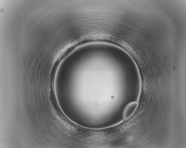 X0000060770438200511141301