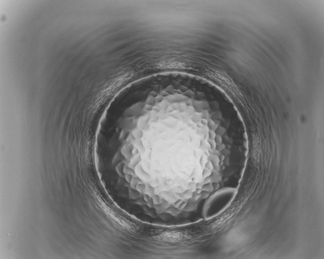 X0000060770441200511141301