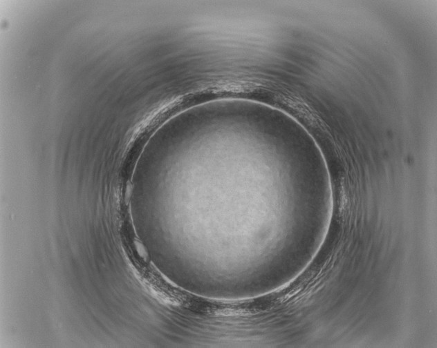 X0000060770444200511141301