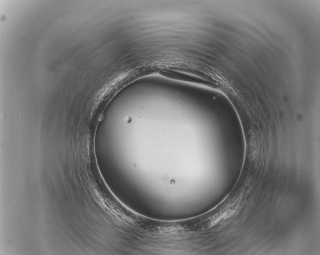 X0000060770446200511141301