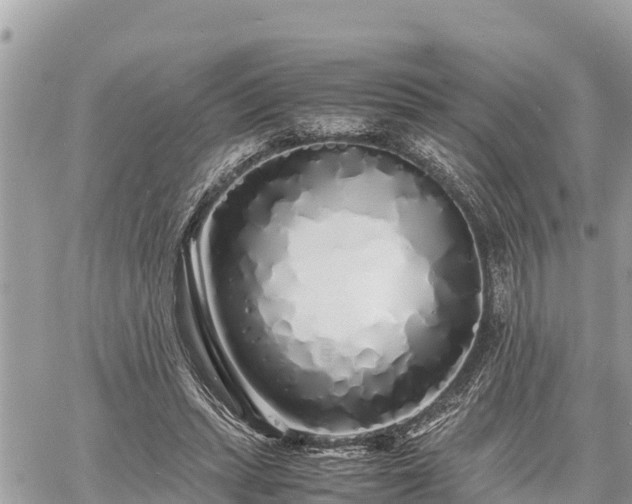 X0000060770447200511141301