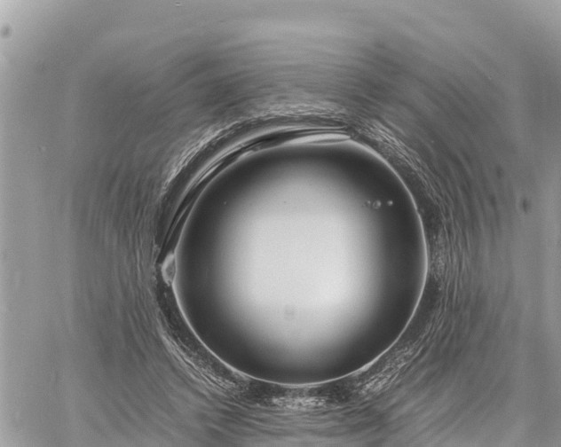 X0000060770448200511141301