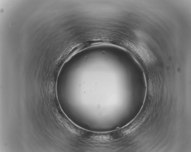 X0000060770449200511141301