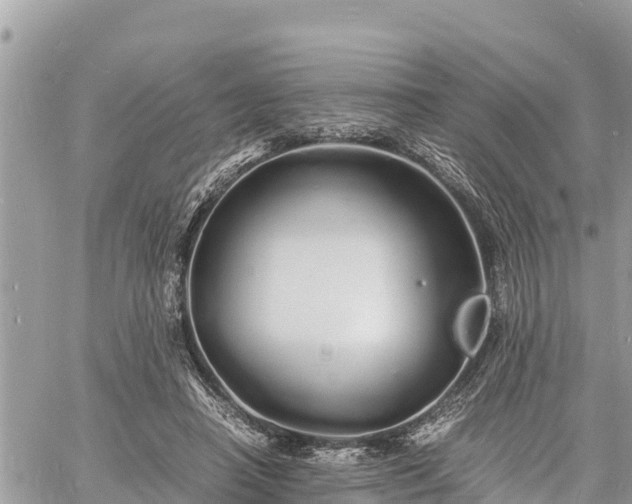 X0000060770450200511141301