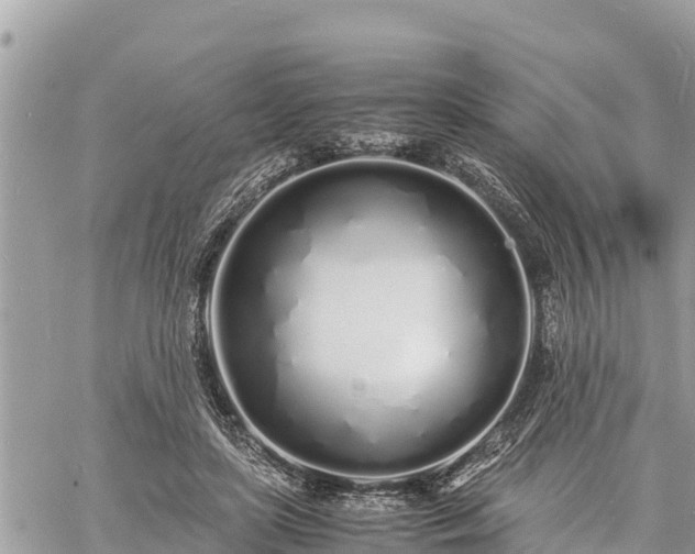 X0000060770451200511141301