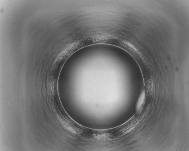 X0000060770452200511141301