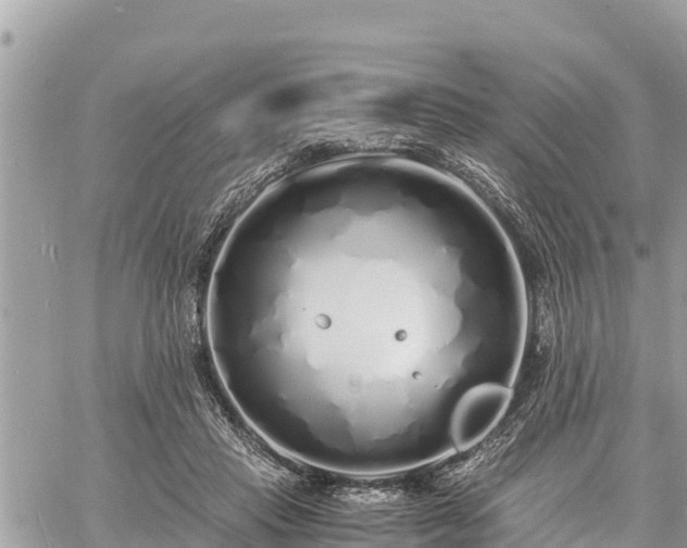 X0000060770453200511141301