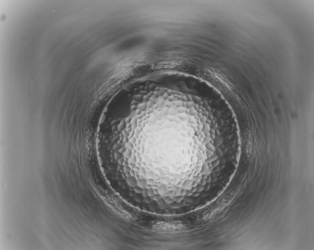 X0000060770455200511141301