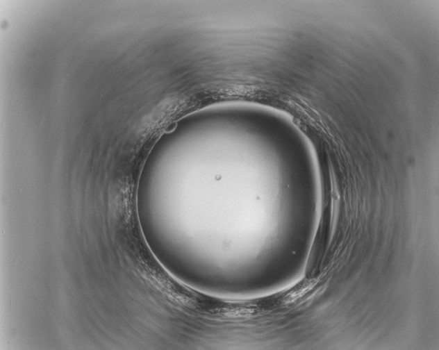 X0000060770462200511141302