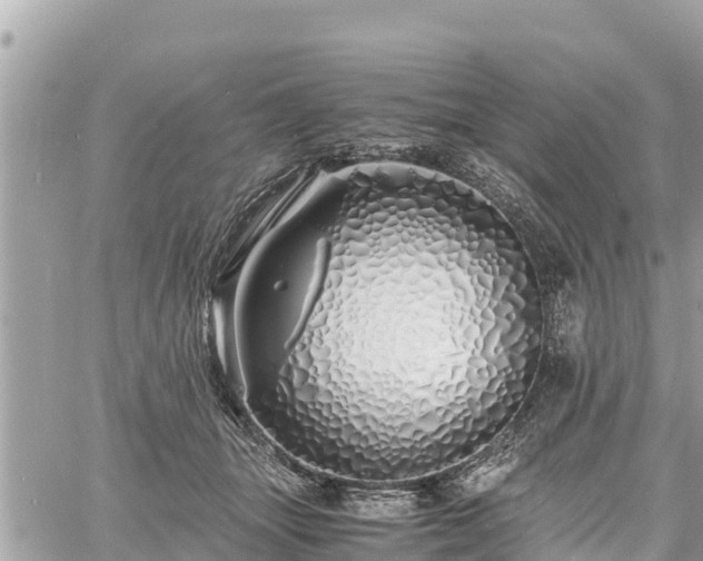 X0000060770463200511141302