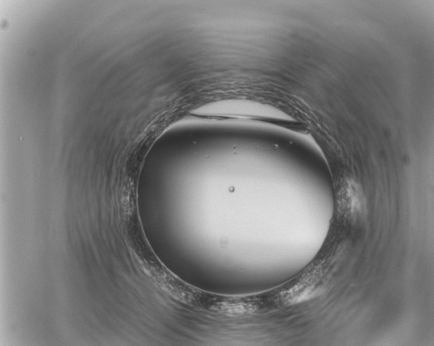 X0000060770464200511141302