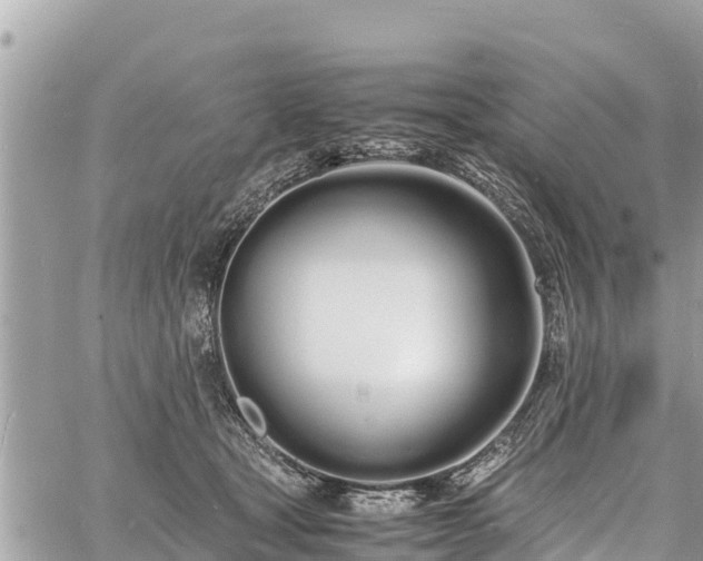 X0000060770465200511141302