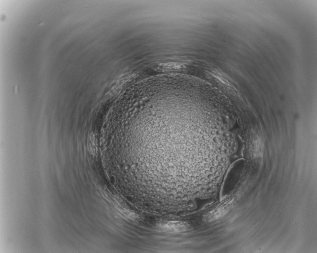 X0000060770467200511141302