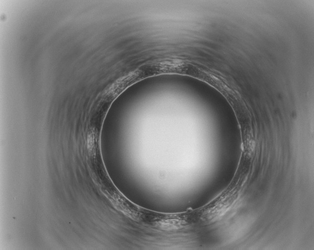 X0000060770468200511141302