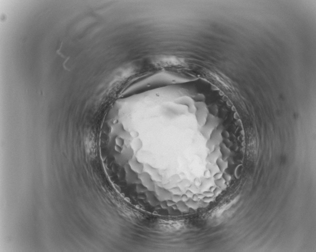 X0000060770469200511141302