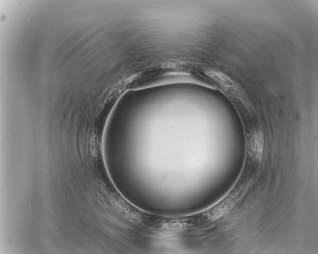 X0000060770470200511141302