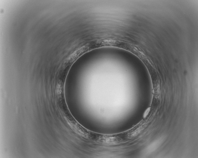 X0000060770472200511141302