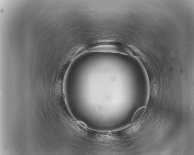 X0000060770475200511141302