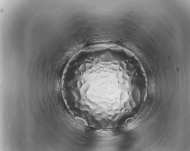 X0000060770477200511141302