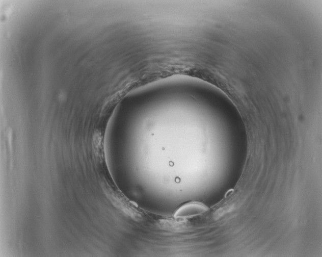 X0000060770480200511141302