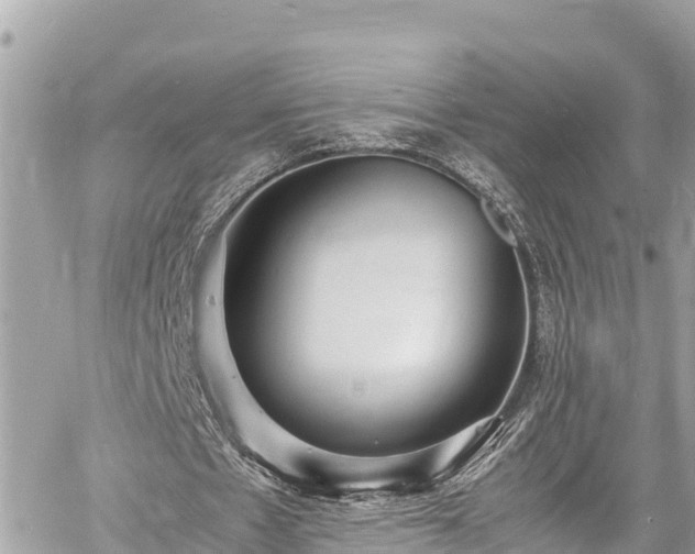 X0000060770481200511141301