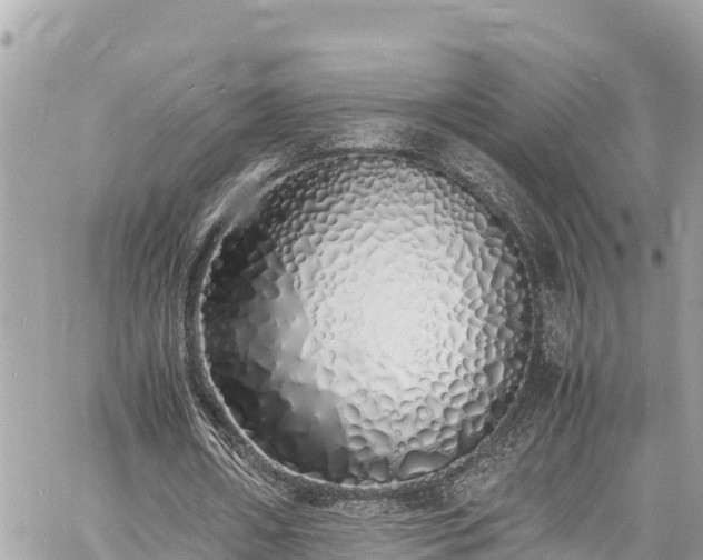 X0000060770482200511141301