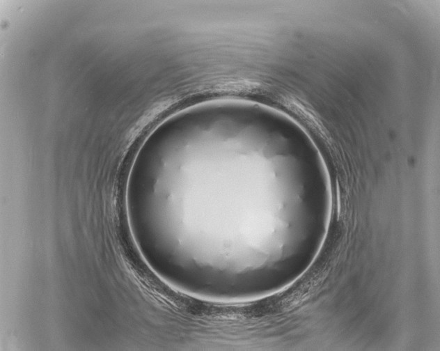 X0000060770483200511141301