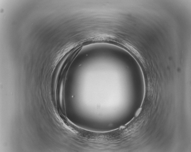 X0000060770485200511141301