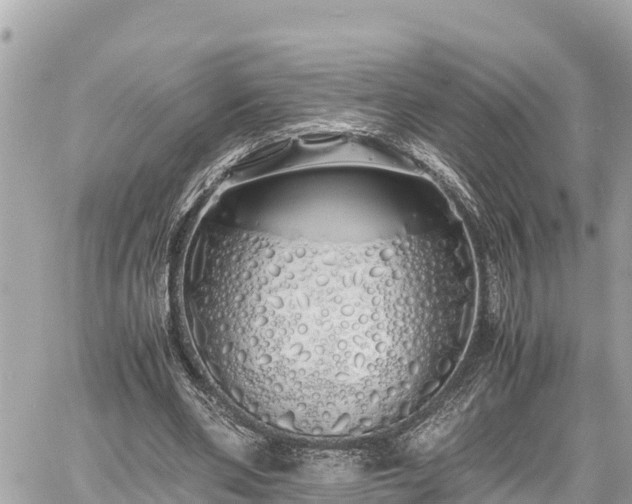 X0000060770486200511141301