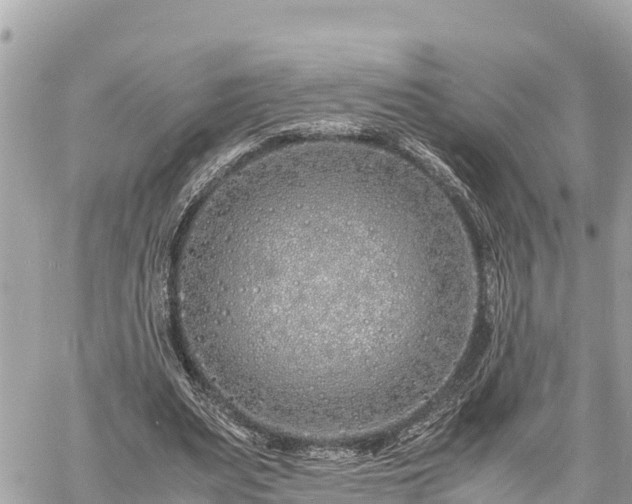 X0000060770487200511141301