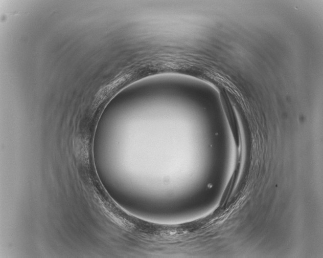 X0000060770489200511141301