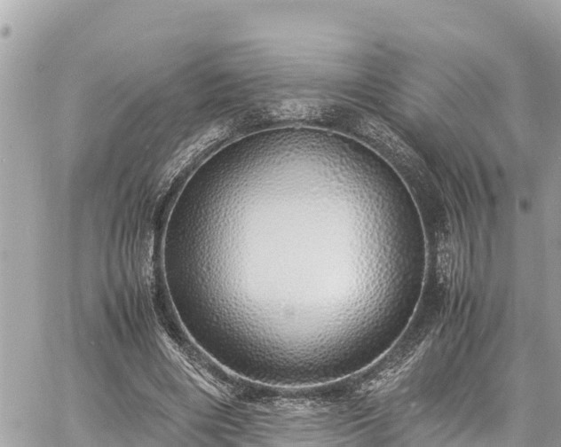 X0000060770490200511141301