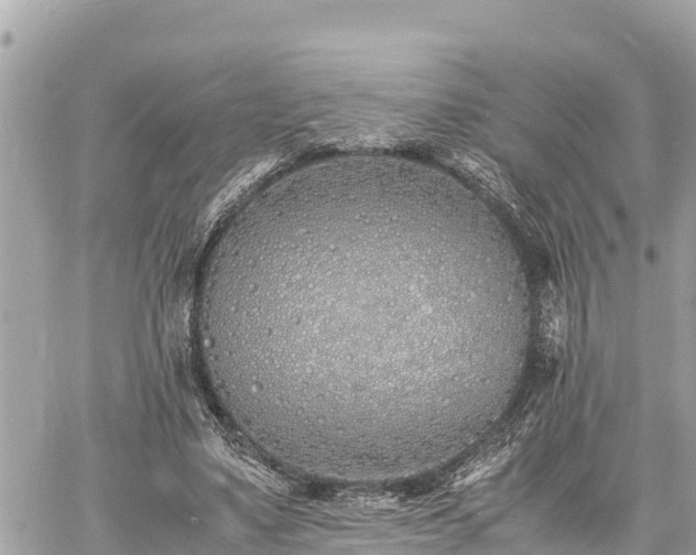 X0000060770491200511141301