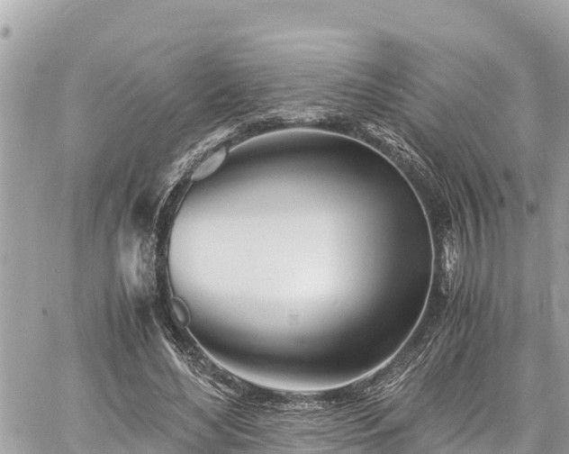 X0000060770492200511141301