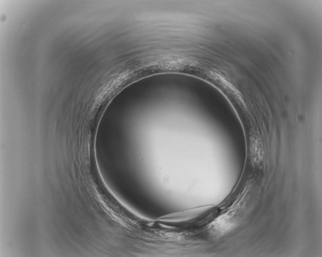 X0000060770493200511141301